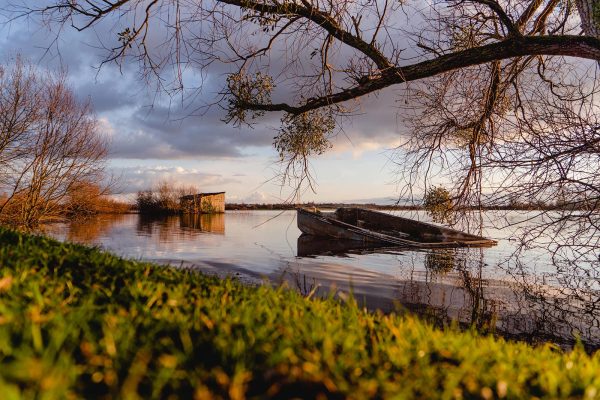 Marais blancs recouverts d'eau en hiver dans le Parc naturel régional des marais du Cotentin et du Bessin