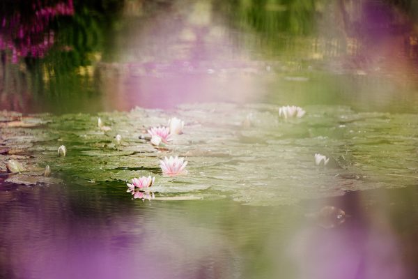 Jardins de Claude Monet à Giverny