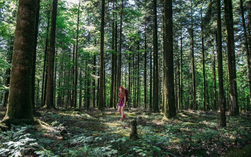 Regionaal natuurpark en Géoparc Normandie-Maine