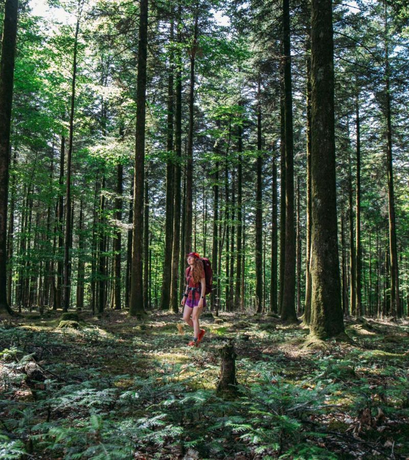 Wandelen langs de GR®22 in het binnenland van de Orne