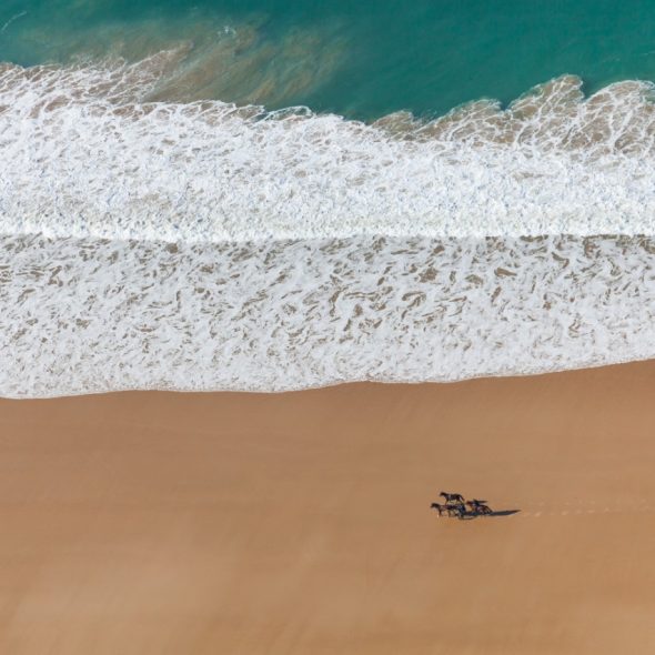 Plages du Cotentin