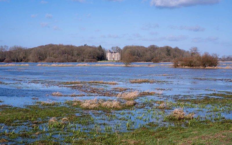 Regionaal natuurpark Marais du Cotentin et du Bessin