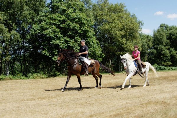 Cavaliers pendant la chevauchée de Guillaume