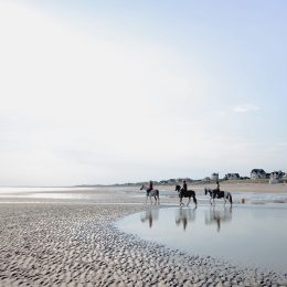 A cheval sur la plage en Normandie