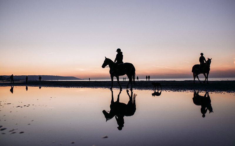 Normandië voor paardenliefhebbers