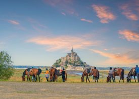Chevaux devant le Mont-Saint-Michel
