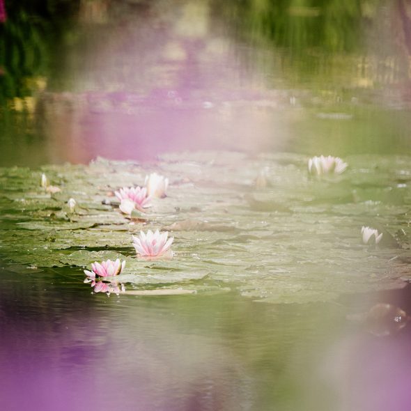 Jardins de Claude Monet à Giverny
